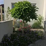 Im Herzen Von Kelheim