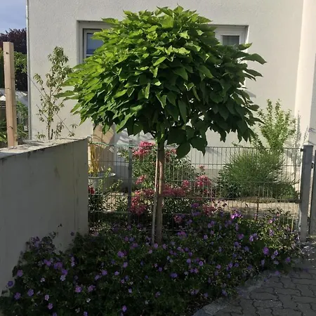 Im Herzen Von Kelheim